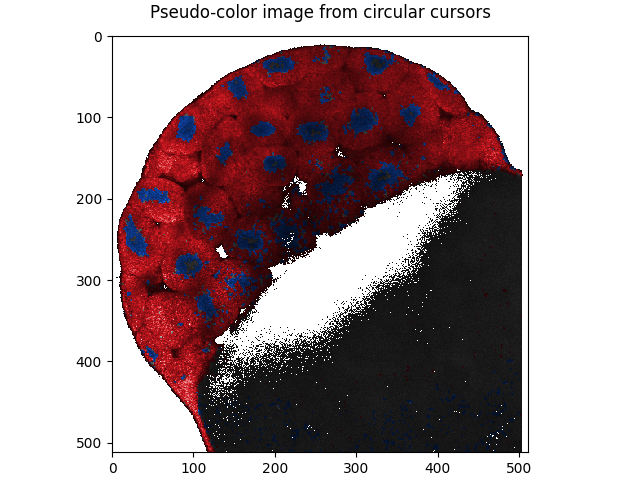 Pseudo-color image from circular cursors
