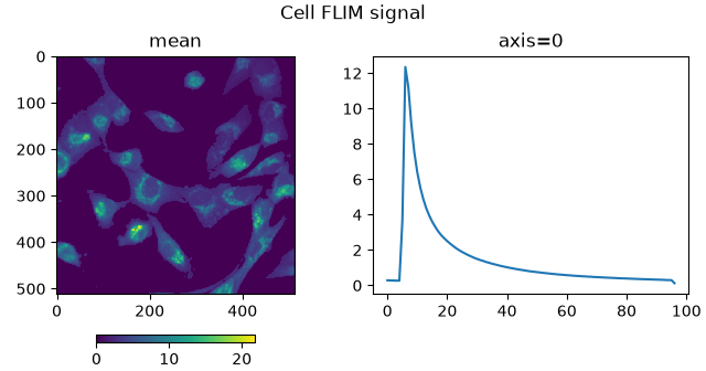 Cell FLIM signal, axis=0, mean