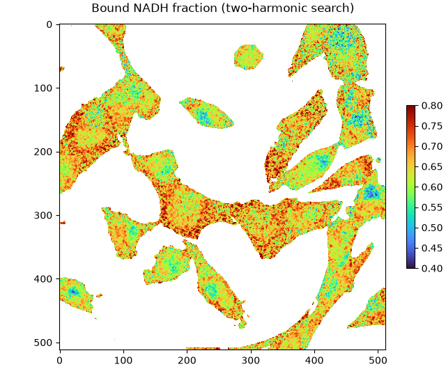 Bound NADH fraction (two-harmonic search)