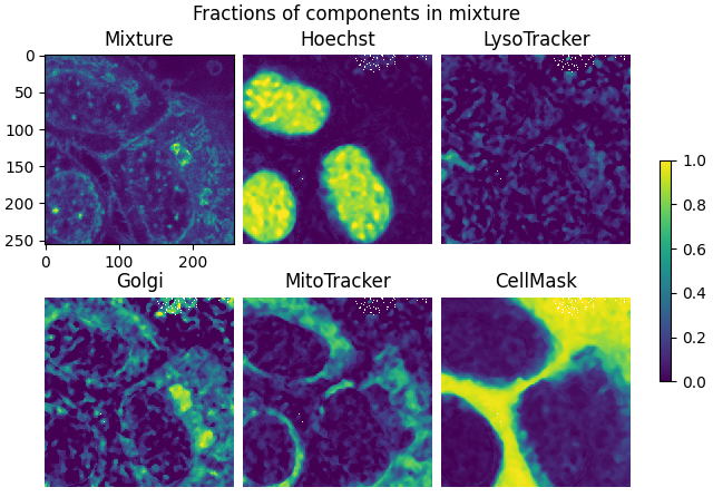 Fractions of components in mixture, Mixture, Hoechst, LysoTracker, Golgi, MitoTracker, CellMask