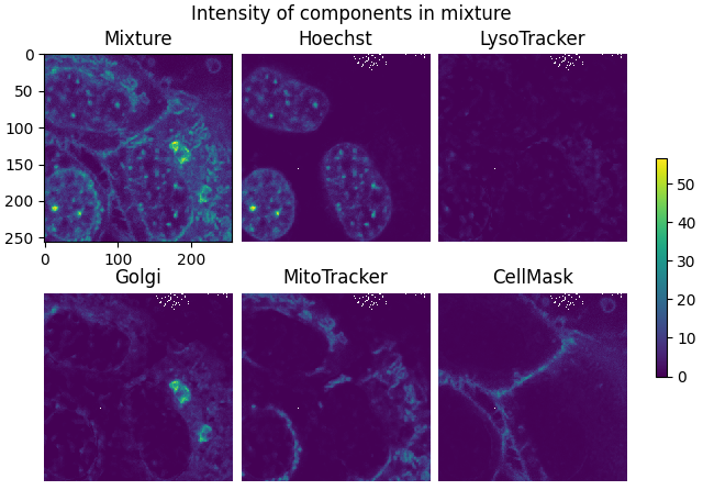 Intensity of components in mixture, Mixture, Hoechst, LysoTracker, Golgi, MitoTracker, CellMask