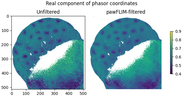 Real component of phasor coordinates, Unfiltered, pawFLIM-filtered