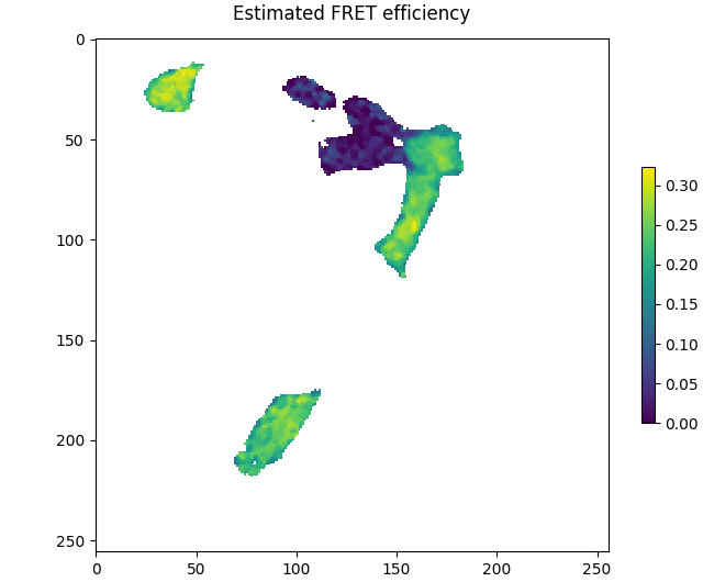 Estimated FRET efficiency