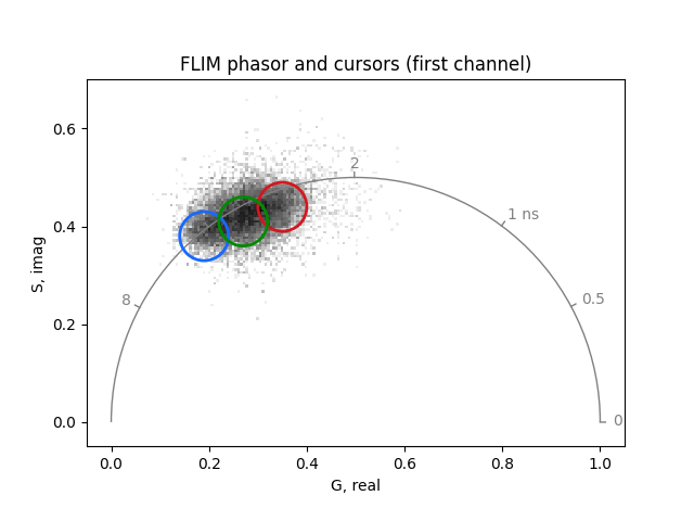 FLIM phasor and cursors (first channel)