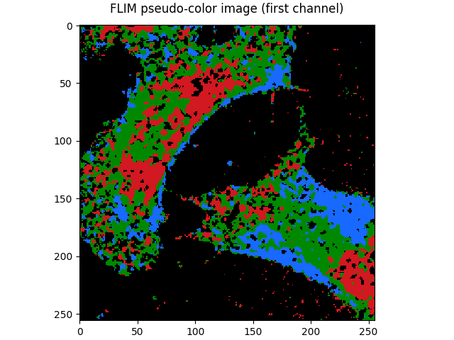 FLIM pseudo-color image (first channel)