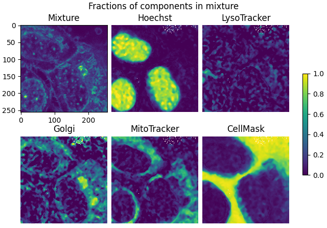 Fractions of components in mixture, Mixture, Hoechst, LysoTracker, Golgi, MitoTracker, CellMask
