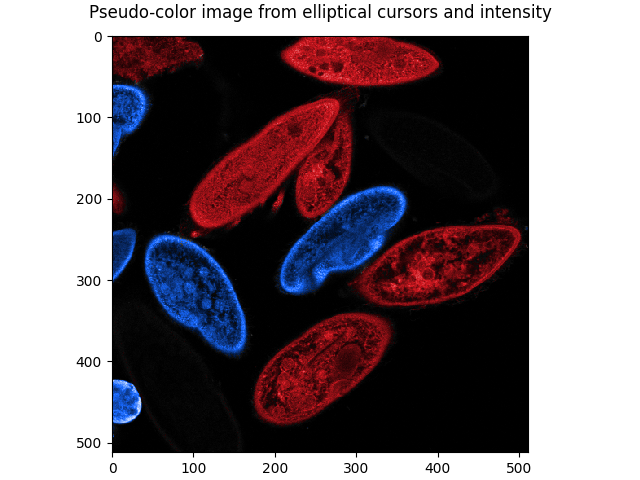 Pseudo-color image from elliptical cursors and intensity