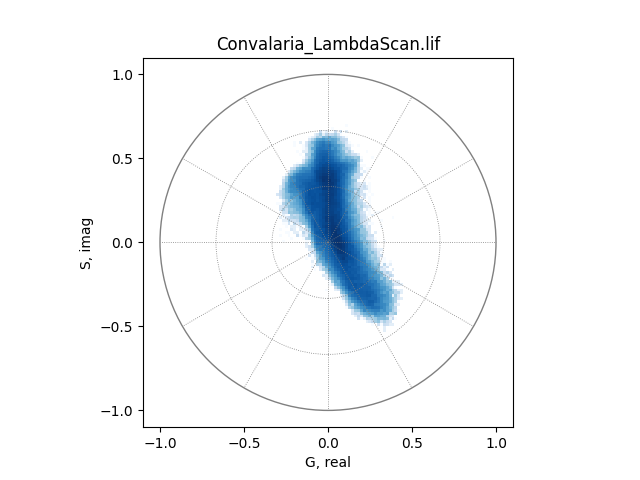 Convalaria_LambdaScan.lif