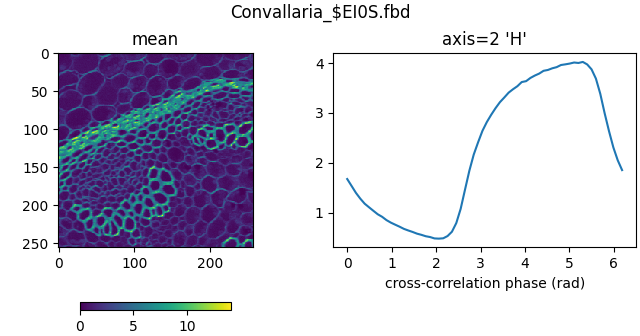 Convallaria_$EI0S.fbd, axis=2 'H', mean