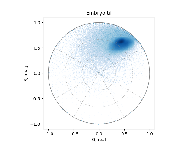 Embryo.tif