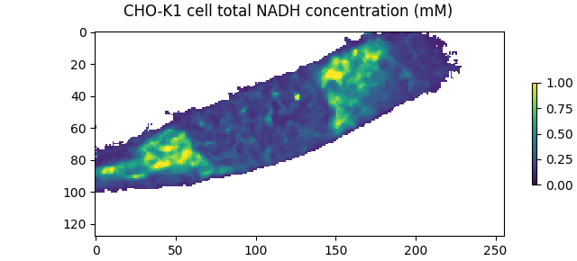 CHO-K1 cell total NADH concentration (mM)