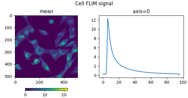 Cell FLIM signal, axis=0, mean