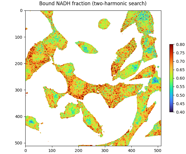 Bound NADH fraction (two-harmonic search)