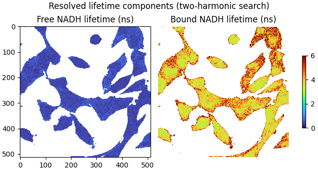 Resolved lifetime components (two-harmonic search), Free NADH lifetime (ns), Bound NADH lifetime (ns)